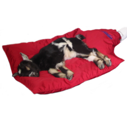 Bair Hugger Reusable Blanket product image